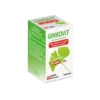 GINKOVIT Circulation -Mémoire 60mg