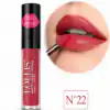 lollis matte liquide lipstick 22