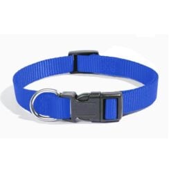 Collier Nylon 10mm Bleu