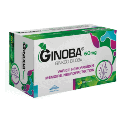 GINOBA 60 MG