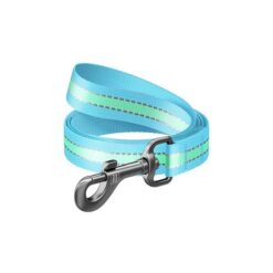 LAISSE NYLON FLUO 20mm 122_M BLEU