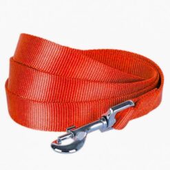 Laisse Nylon 25 Mm Rouge