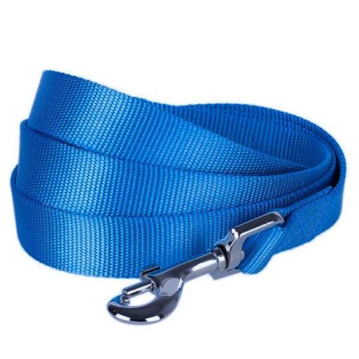 Laisse Nylon Mm.25x1200 Bleu