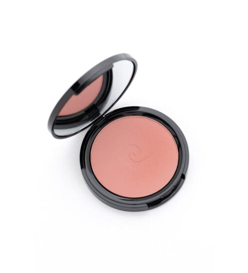 pierre cardin porcelain edition Blush On salmon peach 806