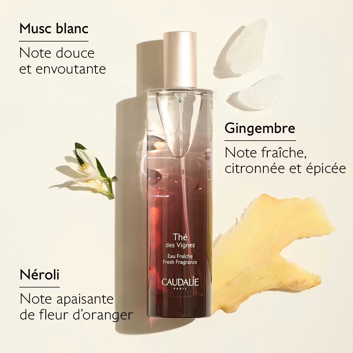 Caudalie Eau Fraîche Thé des Vignes-50ml – Image 4