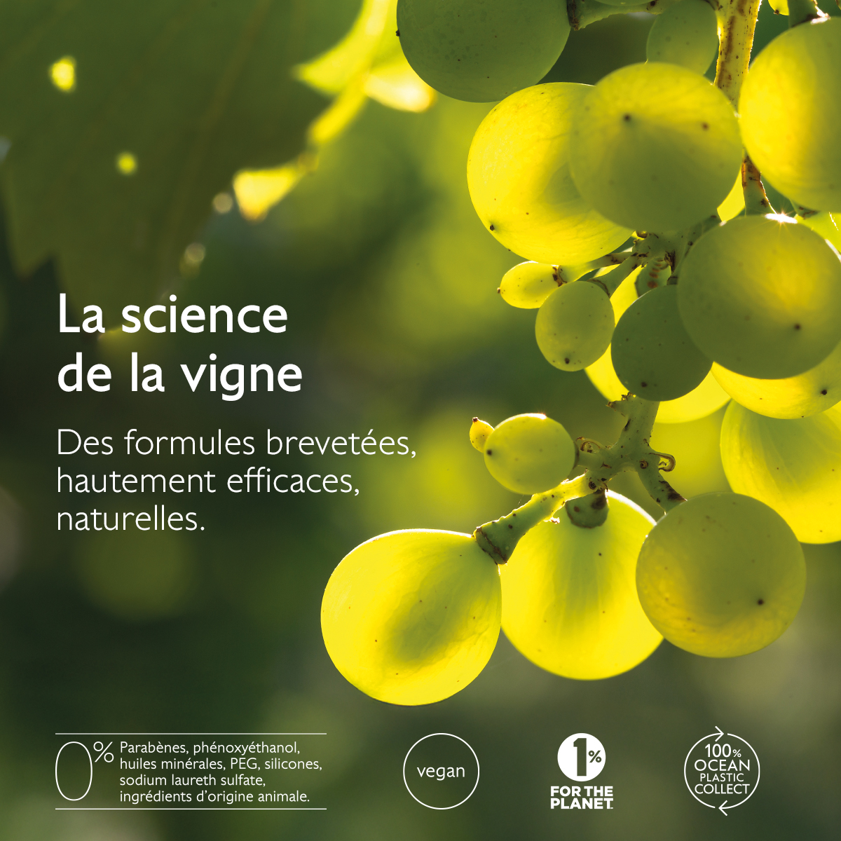 Caudalie Premier cru Le Sérum – Image 2