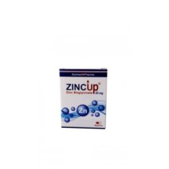 ZINCUP 60 gélules