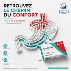 HOLIS GASTROLIS 15 comprimés (DATE EXP 10/2026)
