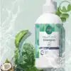 VERDE SHAMP ANTI-PELLICULAIRE 300ML